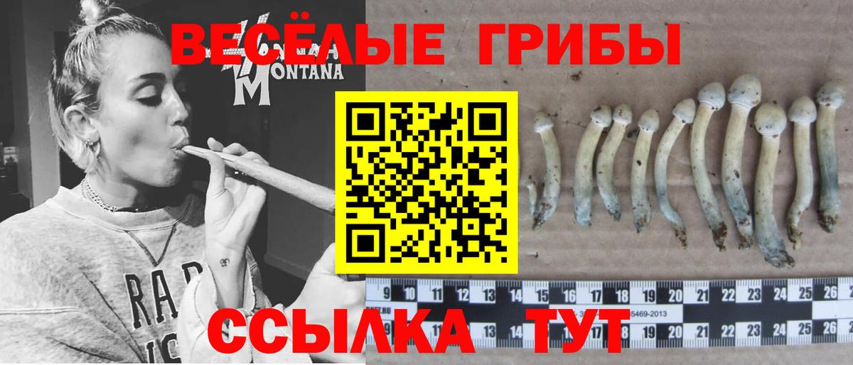 Галлюциногенные грибы GOLDEN TEACHER  Вход с VPN  Вичуга 