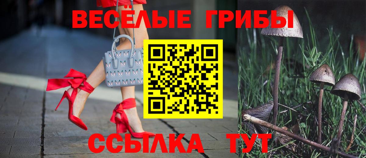 Псилоцибиновые грибы GOLDEN TEACHER Вичуга